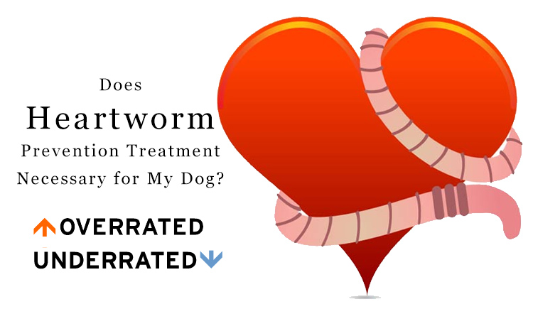 Heartworm Prevention Treatment For Dogs