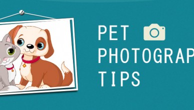 Pet Photography Tips