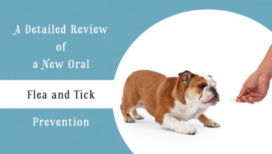 Simparica flea & tick oral treatment