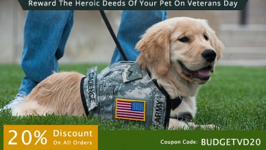 Reward the Heroic Deeds of Your Pet on Veterans Day