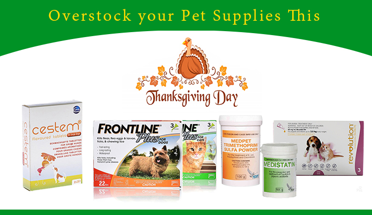 stock pet supplies on thanksgiving day