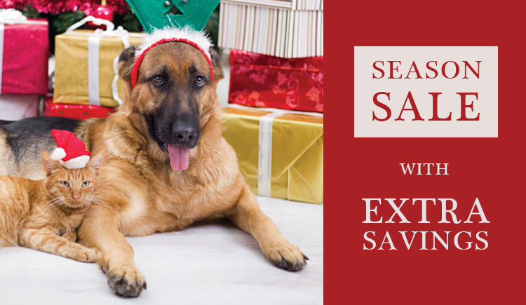 Pet Safe And Healthy During Holidays Season