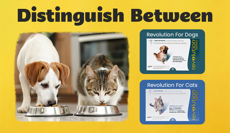 distinguish-between-revolution-for-cats-and-dogs