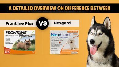 difference-between-frontline-plus-and-nexgard