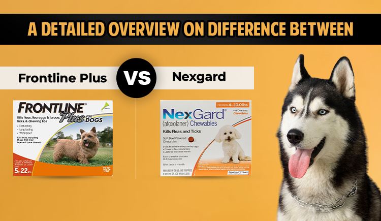 difference-between-frontline-plus-and-nexgard