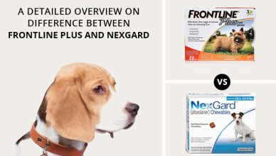 Difference Between Frontline Plus and Nexgard