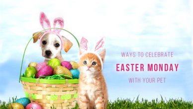 Ways To Celebrate Easter Monday With Your Pet