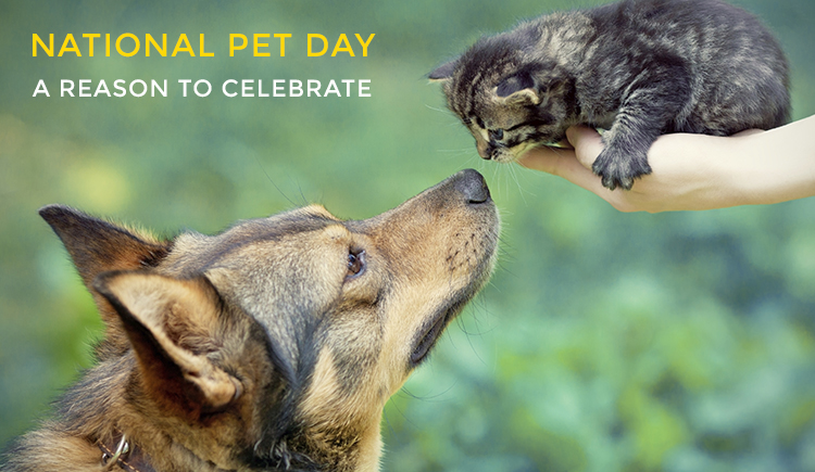 Reason to celebrate for National Pet Day