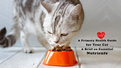 A Primary Health Guide for Your Cat A Brief on Essential Nutrients