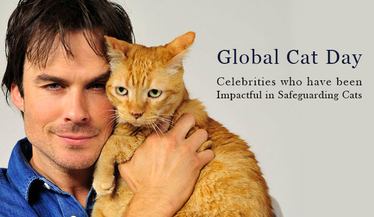 Global Cat Day- Celebrities who have been impactful in safeguarding Cats