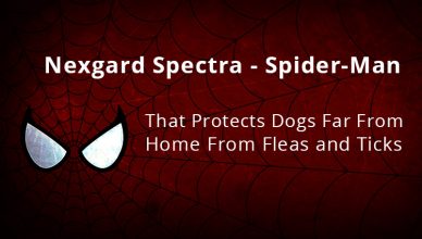 Nexgard Spectra - spider-man