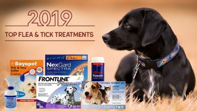 2019 Top Flea an tick treatments