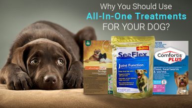 All in one treatment for your dog