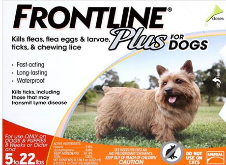 Buy Frontline Plus For Dogs