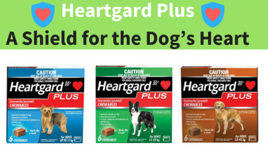 heartgard for dogs