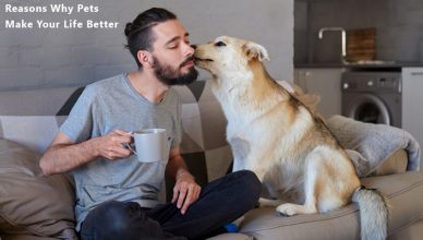 Reasons Why Pets Make Your Life Better