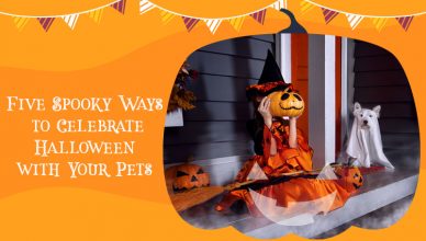 Five Spooky Ways to Celebrate Halloween with your Pets