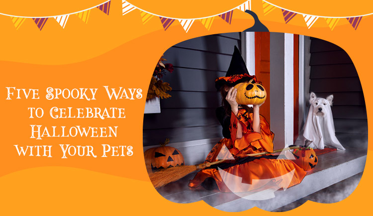 Five Spooky Ways to Celebrate Halloween with your Pets