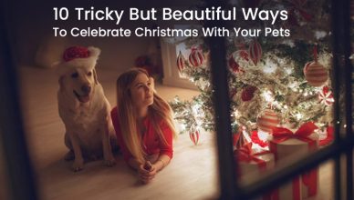 10 Tricky But Beautiful Ways to Celebrate Christmas with Your Pets
