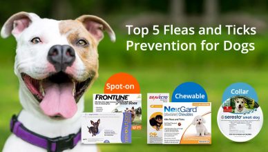 Top 5 Fleas and Ticks Prevention for Dogs