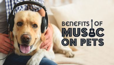 Benefits of Music on Pets