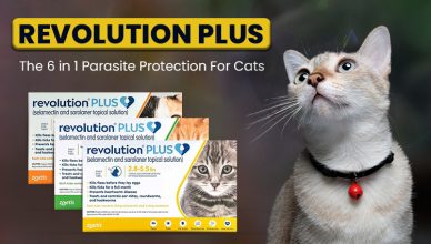 revolution-plus-for-cats-the-6-in-1-parasite-protection