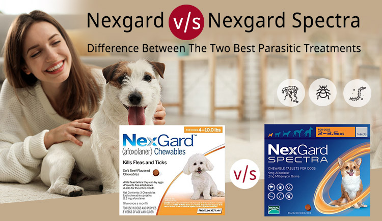 Nexgard v/s Nexgard Spectra-Difference between the Two Best Parasitic Treatments