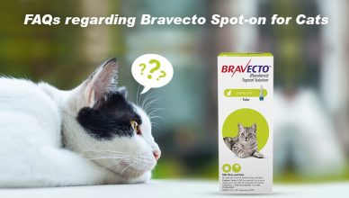 FAQs Regarding Bravecto Spot-on for Cats