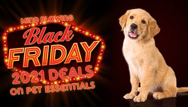 Black Friday 2021 Deals on Pet Essentials