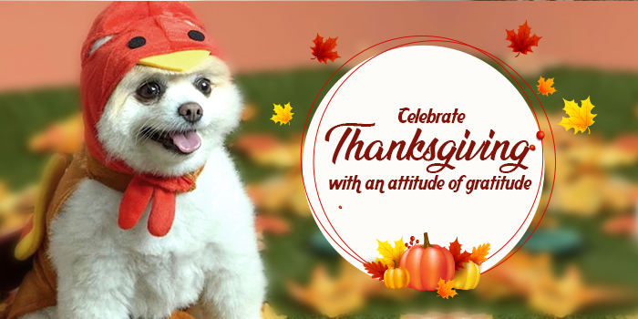 Celebrate Thanksgiving with an attitude of gratitude