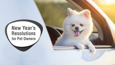 New Year's Resolution for Pet Owners