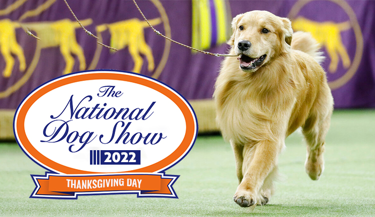 national-dog-show