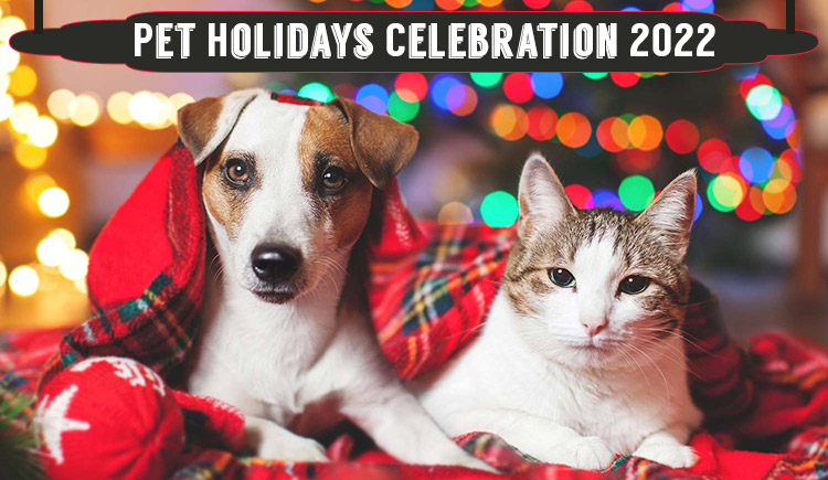 Pet Holidays Celebration 2022