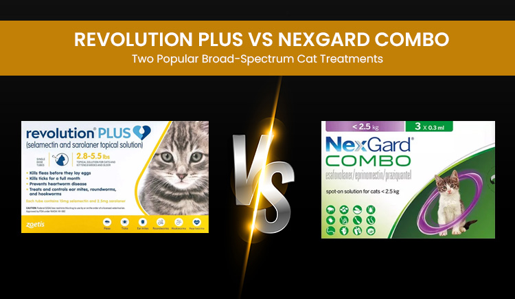 Revolution Plus vs Nexgard Combo