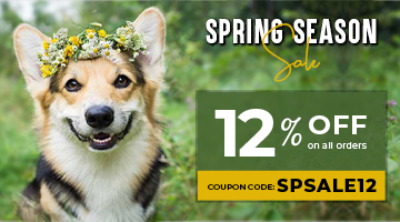spring-season-sale-2024