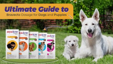 ultimate-guide-to-bravecto-dosage-for-dogs-and-puppies