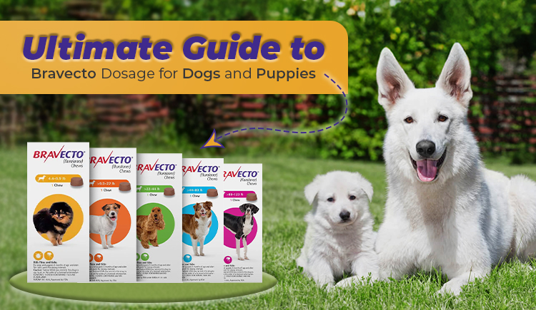 ultimate-guide-to-bravecto-dosage-for-dogs-and-puppies