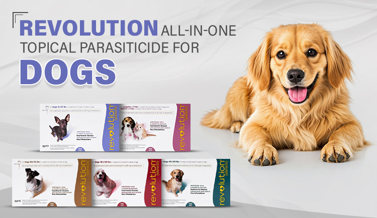 revolution--all-in-one-topical-parasiticide-for-dogs
