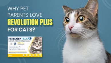 why-pet-parents-love-revolution-plus-for-cats