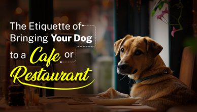 the-etiquette-of-bringing-your-dog-to-a-cafe-or-restaurant