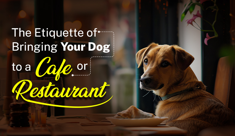 the-etiquette-of-bringing-your-dog-to-a-cafe-or-restaurant