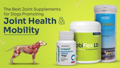 the-best-joint-supplements-for-dogs-promoting-joint-health-&-mobility