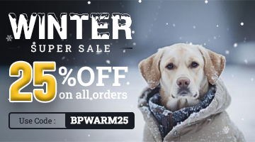 winter-sale-2026