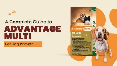a-complete-guide-to-advantage-multi-for-dog-parents