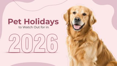 pet-holidays-to-watch-out-for-in-2026