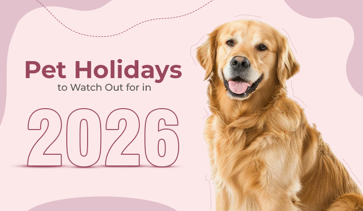 pet-holidays-to-watch-out-for-in-2026