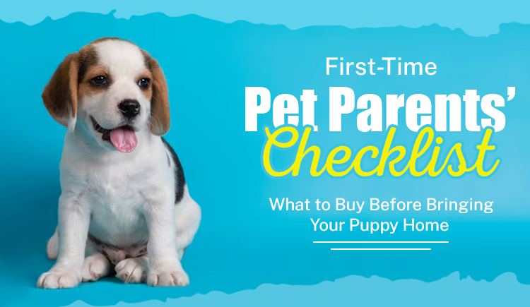 first-time-pet-parents-checklist-what-to-buy-before-bringing-your-puppy-home