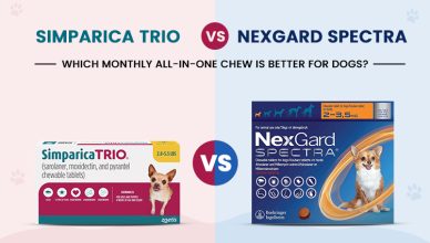 simparica-trio-vs-nexgard-spectra-which-monthly-all-in-one-chew-is-better-for-dogs