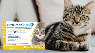 Revolution Plus = The 6 in 1 Protection Treatment For Cats
