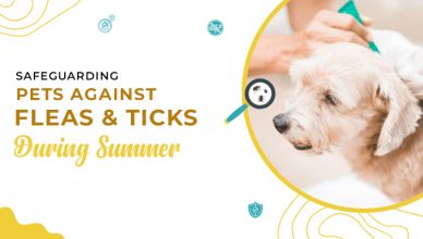 https://www.budgetpetworld.com/blog/4-steps-to-get-rid-of-fleas-from-your-pet-and-household-environment/